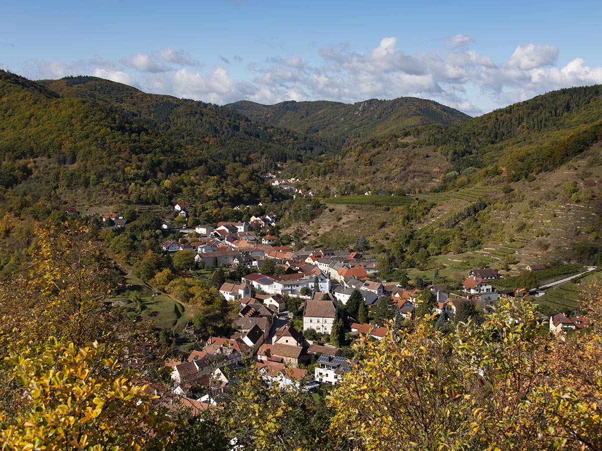 Senftenberg